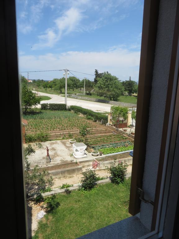 Filipovic Apartments With Pool Biograd Na Moru Exterior foto